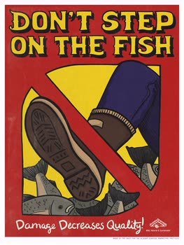 Don't Step on the Fish
